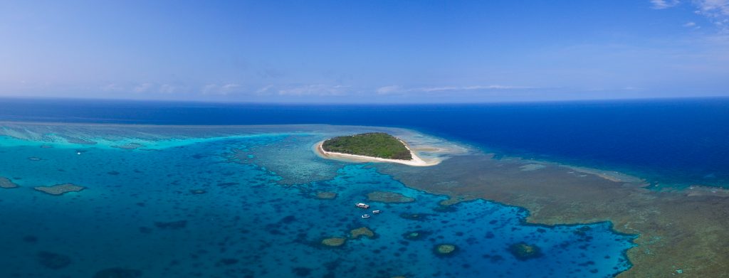 Have you wondered how Lady Musgrave Island was created
