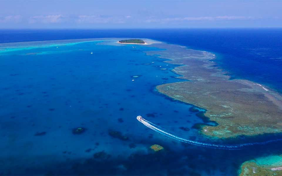 lady musgrave island