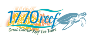 1770 Reef Tours - Lady Musgrave Island Day Tours