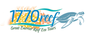 1770 Reef Tours