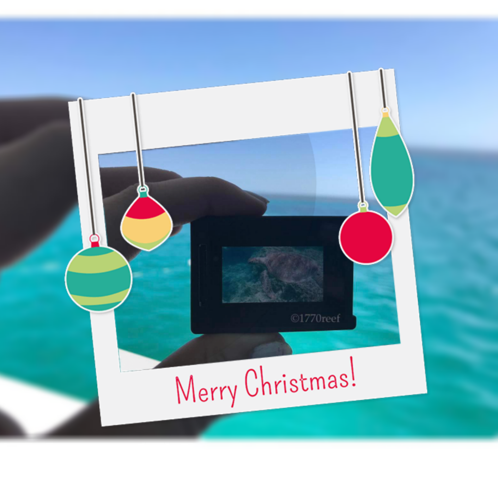 Christmas at the Great Barrier Reef