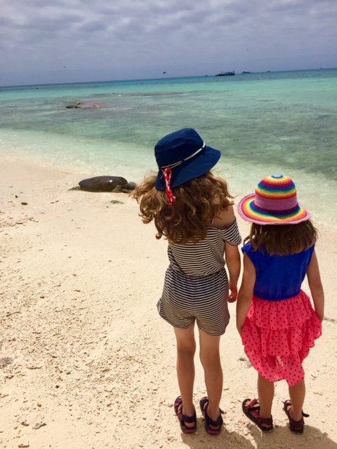 Lady Musgrave Island Family Friendly