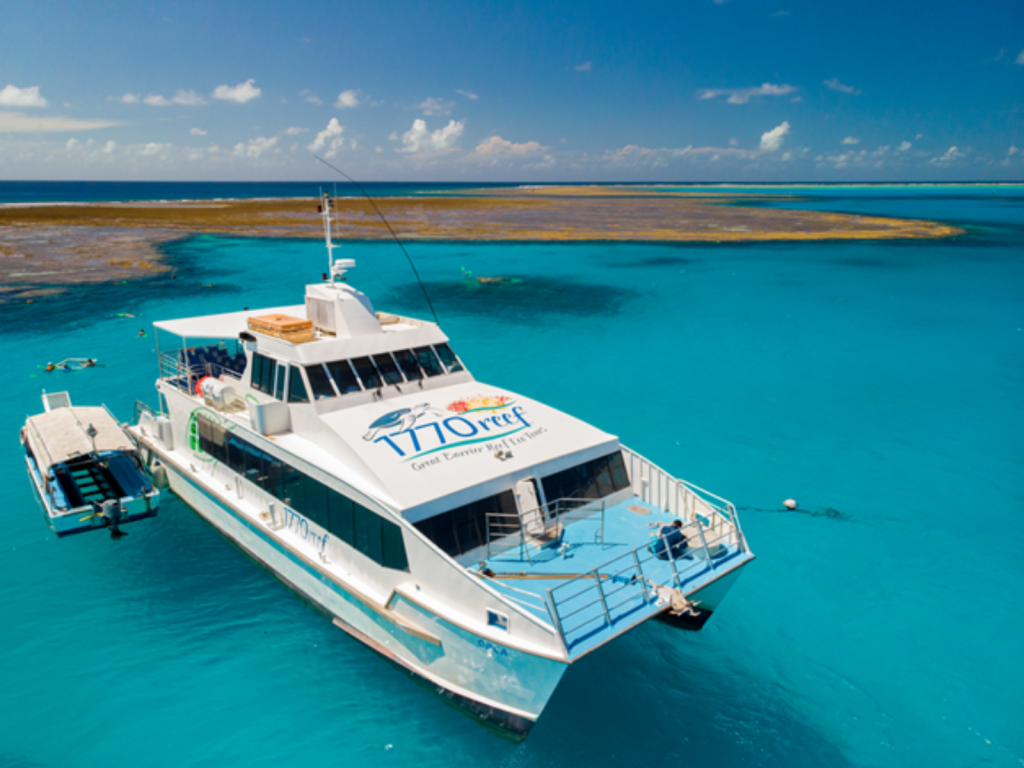 lady musgrave island tours from 1770