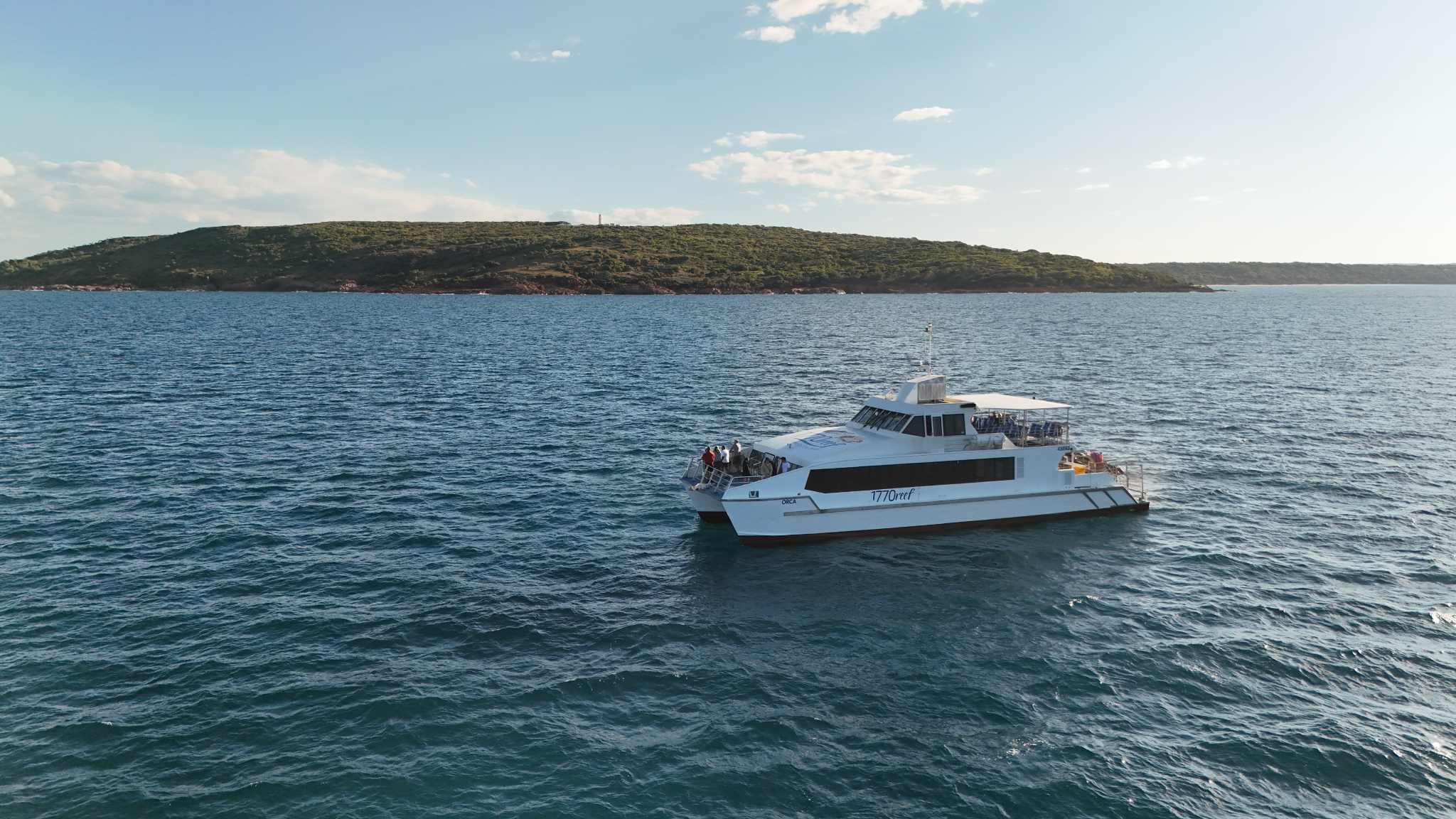 1770reef bustard bay cruise 14