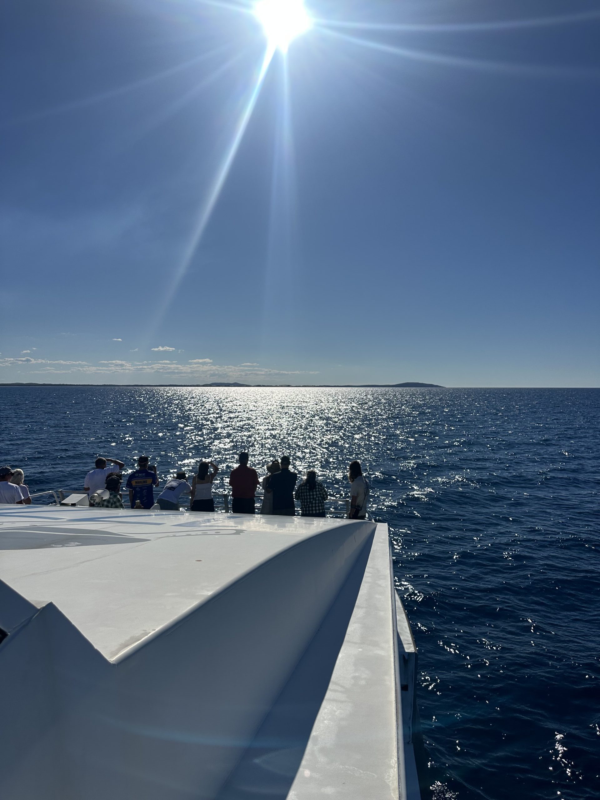 1770reef bustard bay cruise 7